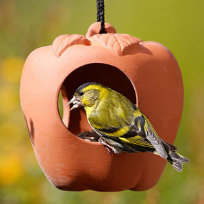 Terracotta Apple Bird Feeder