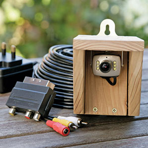 Bird Feeder Camera System