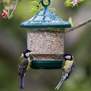 Round Brid Seed Feeder
