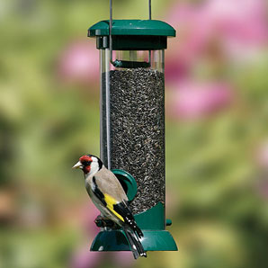 RSPB Premium Nyjer Seed Feeder