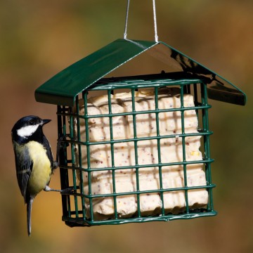Suet Bird Feeder